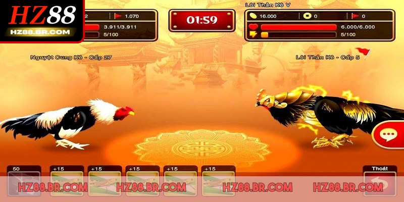 Cách tham gia Đá Gà HZ88 nhanh chóng và dễ dàng