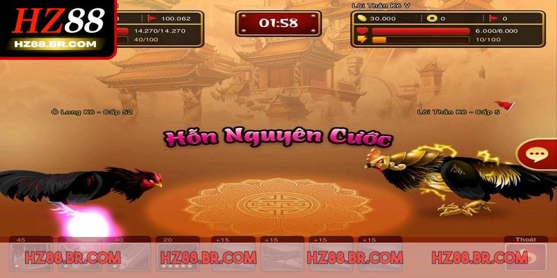 Nhà cái mang đến nhiều loại hình cược hấp dẫn cho hội viên